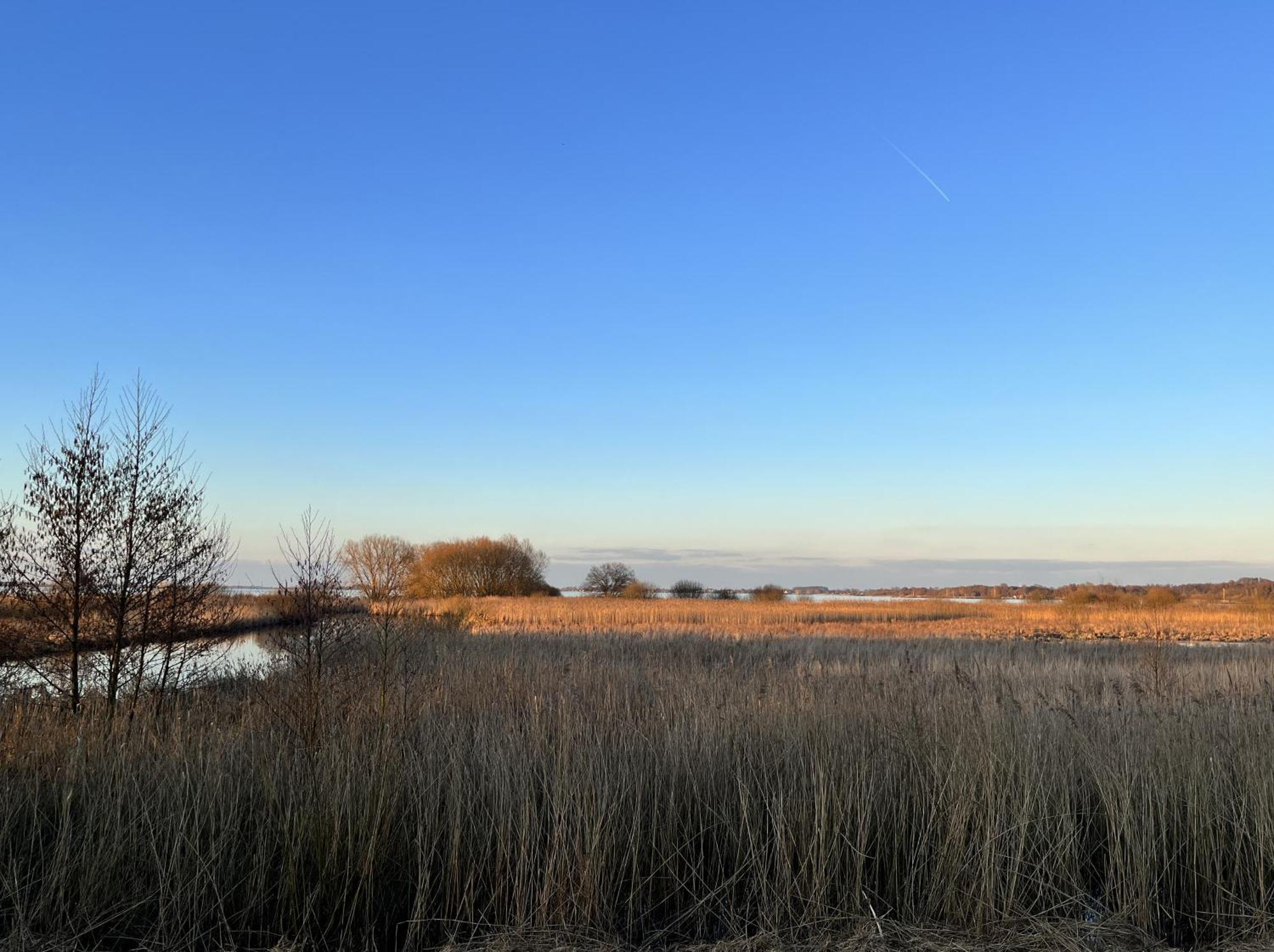 Hueder Hof Am Duemmer See Hüde Quarto foto