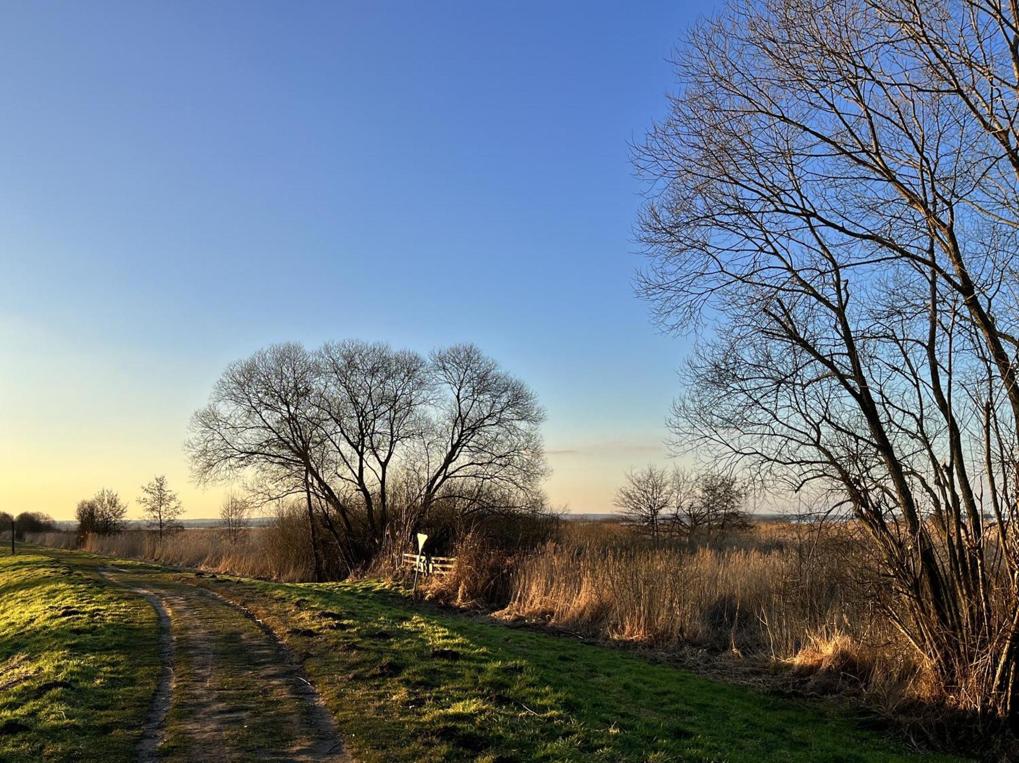 Hueder Hof Am Duemmer See Hüde Exterior foto